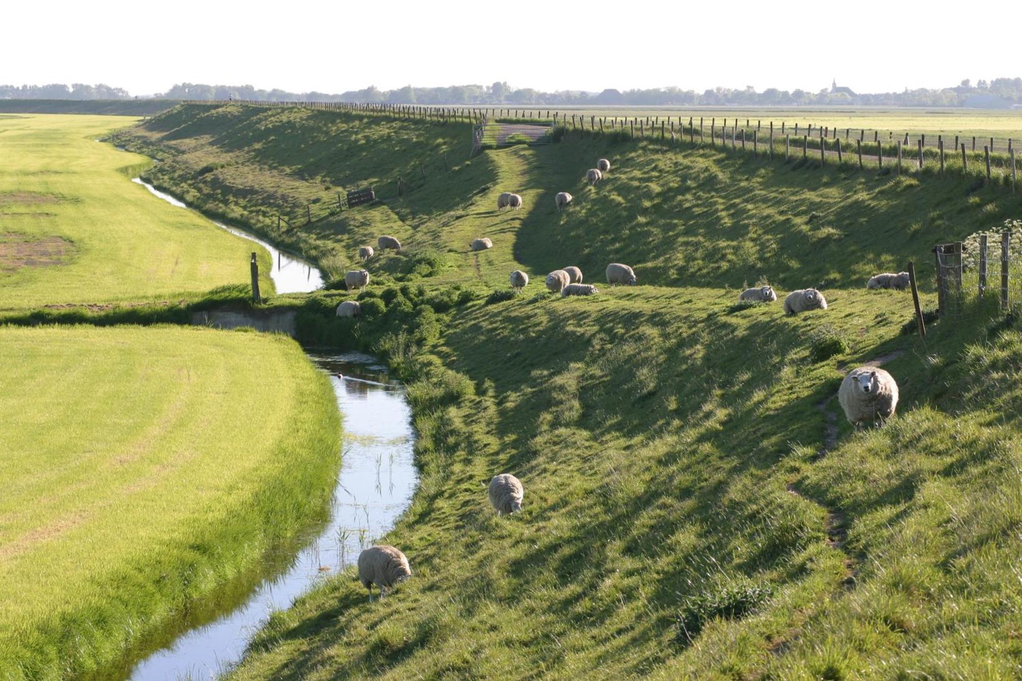 Hotelhuisjes Medemblik Wieringerwerf Exteriér fotografie